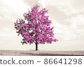 Beautiful abstract lonely tree with amzing pink leaves on a meadow. Sepia toned image with selective color modified image perfect for trendy home interior decoration. 86641298