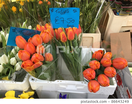 Tulip bouquets are on sale = at London Flower Market Tulip bouquets are on sale = at London Flower Market 86643249