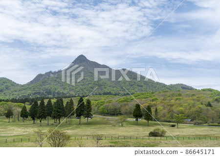 回到大山 回到大山 86645171