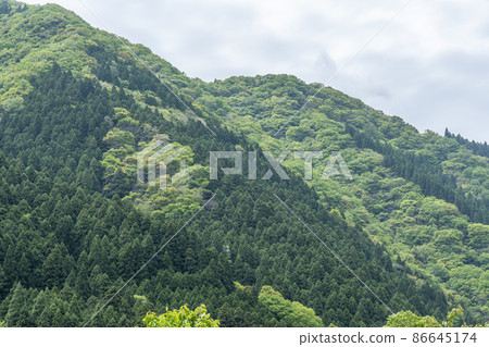Kamochi Shrine neighborhood 86645174