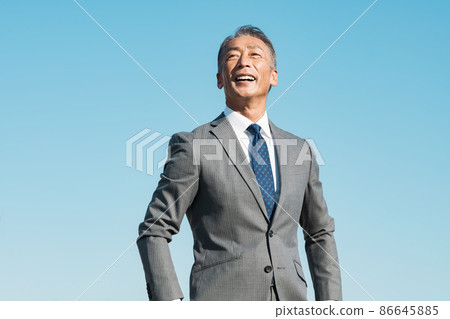 Middle business person portrait Middle business person portrait 86645885