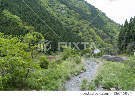 Kamochi Shrine 86645994