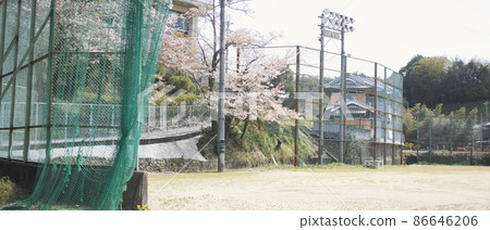 Sakura entrance ceremony and graduation ceremony in the school playground Sakura entrance ceremony and graduation ceremony in the school playground 86646206