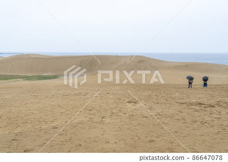 鳥取沙丘 鳥取沙丘 86647078