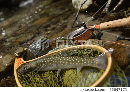 Iwana fishing 86647173