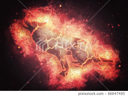 Flame dog illustration 86647495