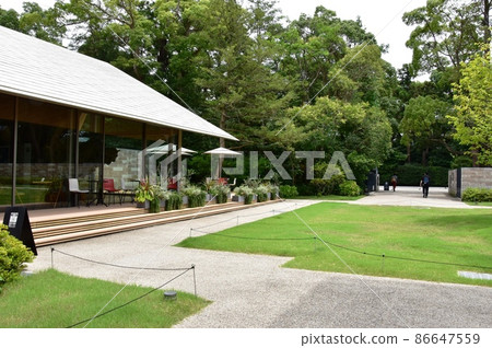 鎌倉市鎌倉文化館鶴岡博物館咖啡廳、深綠色和正門 86647559