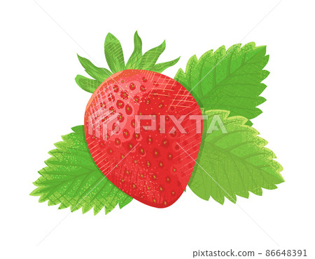 草莓插畫素材矢量圖 草莓插畫素材矢量圖 86648391