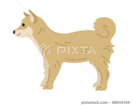 從側面看到的柴犬插圖 從側面看到的柴犬插圖 86648394