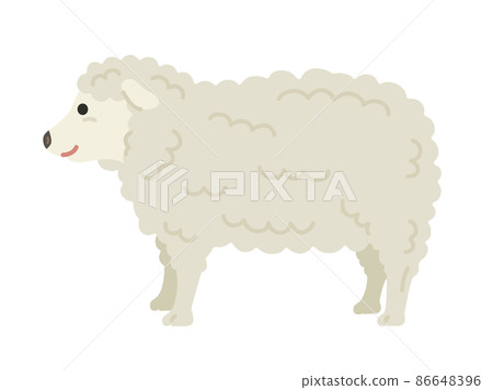 從側面看到的一隻白羊的插圖 86648396