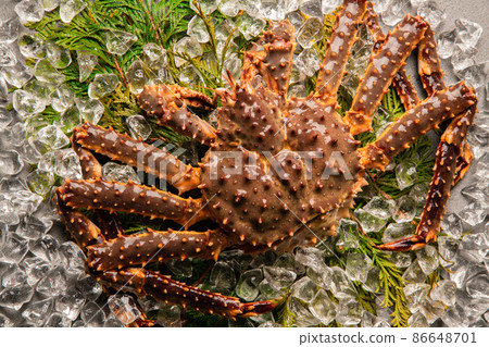 King crab 86648701