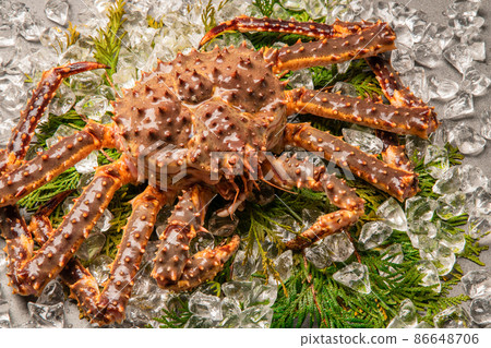 King crab King crab 86648706