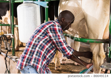 Milkmaid man staning close to automatical cow milking machines 86649114