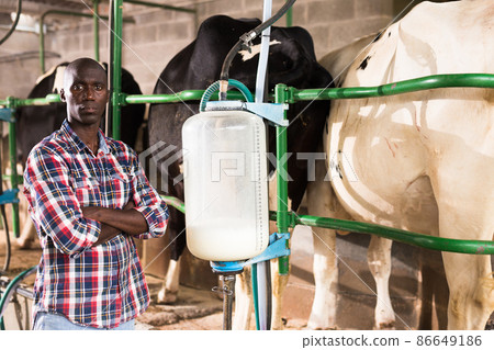 Milkmaid man staning close to automatical cow milking machines Milkmaid man staning close to automatical cow milking machines 86649186