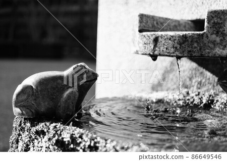 Water bottle and frog figurine Water bottle and frog figurine 86649546