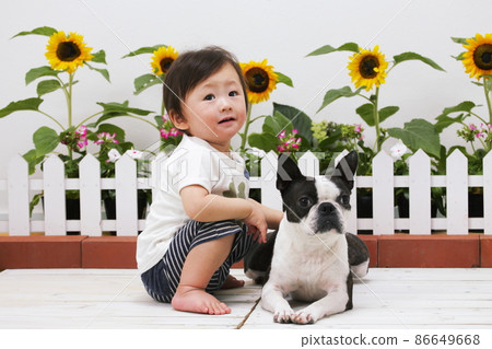 Dog and baby 86649668