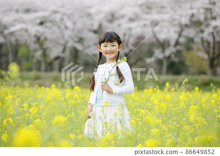 A girl who laughs at a rape field 86649852