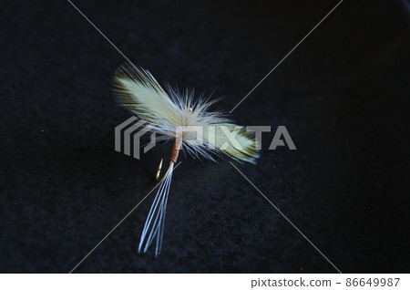 Dry fly 86649987