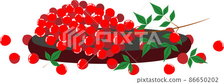 托盤上裝飾的南方天空果實的插圖 托盤上裝飾的南方天空果實的插圖 86650202