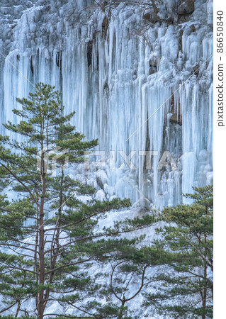 Shirakawa Ice Pillars, Kiso Town, Kiso District, Nagano Prefecture 86650840
