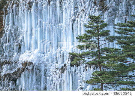 Shirakawa Ice Pillars, Kiso Town, Kiso District, Nagano Prefecture Shirakawa Ice Pillars, Kiso Town, Kiso District, Nagano Prefecture 86650841