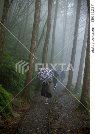 台灣，太平山，見晴古道，步道上，遊客，台湾、太平山、Jianqing Ancient Road、 86651287