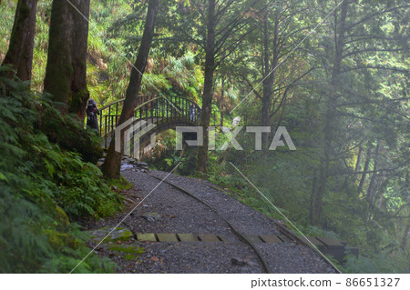 台灣，太平山，見晴古道，橋，台湾、太平山、建清古道、橋、Taiwan, Bridge, 86651327