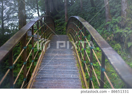 台灣，太平山，見晴古道，橋，台湾、太平山、建清古道、橋、Taiwan, Bridge, 86651331