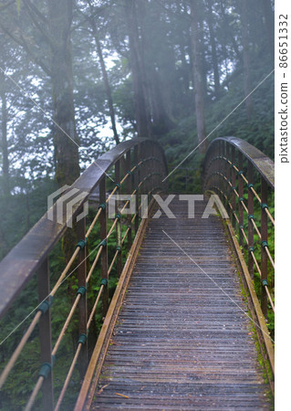 台灣，太平山，見晴古道，橋，台湾、太平山、建清古道、橋、Taiwan, Bridge, 86651332