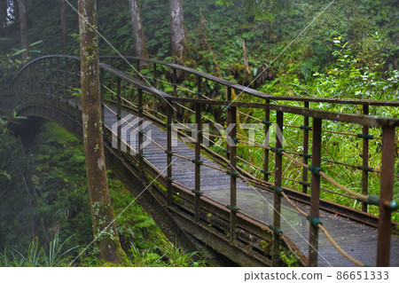 台灣，太平山，見晴古道，橋，台湾、太平山、建清古道、橋、Taiwan, Bridge, 86651333