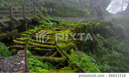 台灣,太平山,見晴古道,鐵道,台湾、太平山、建清古道、鉄道、Taiwan, railway, 台灣,太平山,見晴古道,鐵道,台湾、太平山、建清古道、鉄道、Taiwan, railway, 86651516