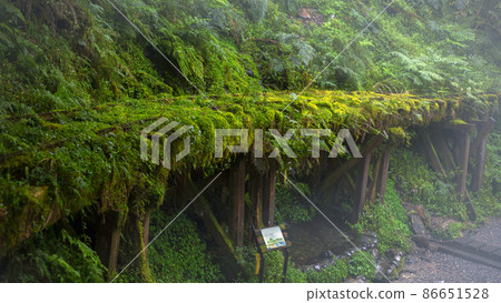 台灣，太平山，見晴古道，鐵道，台湾、太平山、建清古道、鉄道、Taiwan, railway, 86651528