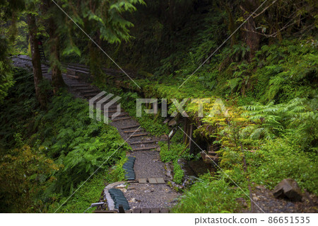 台灣，太平山，見晴古道，鐵道，台湾、太平山、建清古道、鉄道、Taiwan, railway, 86651535