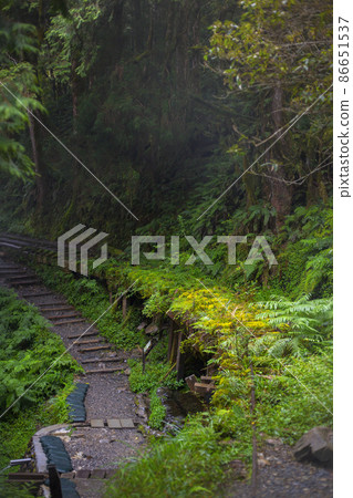 台灣,太平山,見晴古道,鐵道,台湾、太平山、建清古道、鉄道、Taiwan, railway, 台灣,太平山,見晴古道,鐵道,台湾、太平山、建清古道、鉄道、Taiwan, railway, 86651537