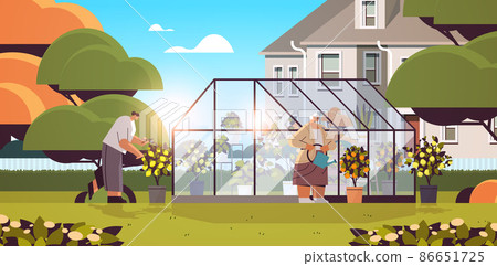 women gardeners taking care of potted plants at backyard greenhouse or home garden horizontal 86651725