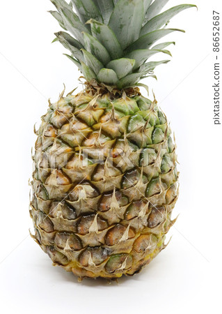 菠蘿 86652687