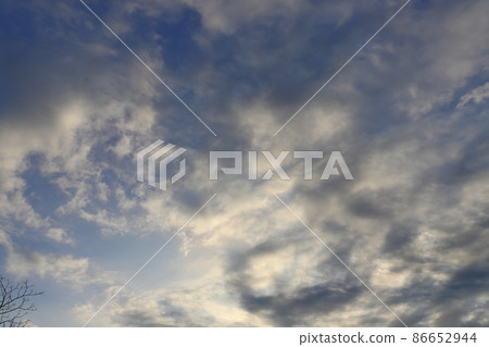 早晨的天空,雲,樹 早晨的天空,雲,樹 86652944