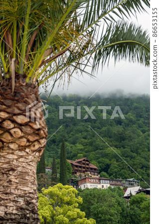Scenic View of Houses on a Hill with Fog on the Top of It in Abkhazia, Tropical Palm Tree is on the Foreground. Selective Focus Scenic View of Houses on a Hill with Fog on the Top of It in Abkhazia, Tropical Palm Tree is on the Foreground. Selective Focus 86653155