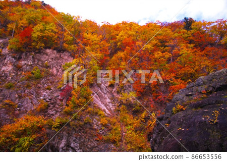 深秋的染料 86653556