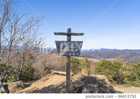 Taminenushiyama山頂（縣立奧武藏自然公園） 86653791