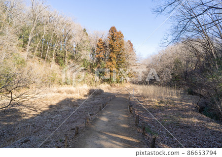 縣立奧武藏自然公園 縣立奧武藏自然公園 86653794