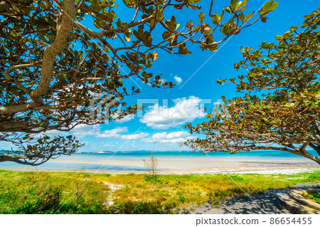 Kobateis and Okinawa Sea 86654455