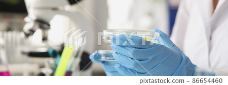 Scientist chemist in rubber gloves opening petri dish in laboratory closeup 86654460