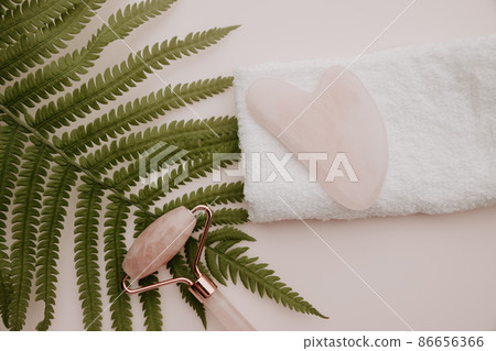 Beauty concept. Gua sha and massage roller on a towel and fern on a pink background Beauty concept. Gua sha and massage roller on a towel and fern on a pink background 86656366