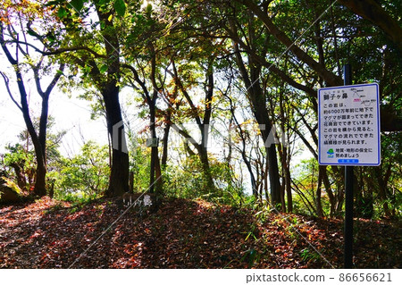 Wagakuni Atago Hiking Course Shishigahana 86656621
