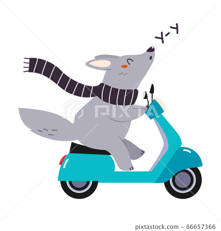 Cute Grey Wolf Character in Scarf Riding Motor Scooter or Motorcycle and Howling Vector Illustration 86657366