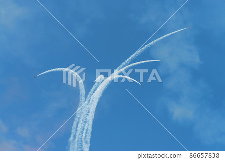 阿聯酋空軍雜技隊“Al Fulsan”編隊休息 阿聯酋空軍雜技隊“Al Fulsan”編隊休息 86657838