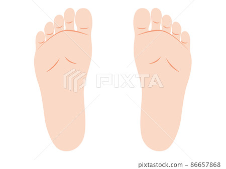 The soles of both feet of a woman 86657868