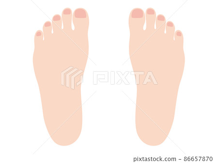 Insteps of both female feet Insteps of both female feet 86657870