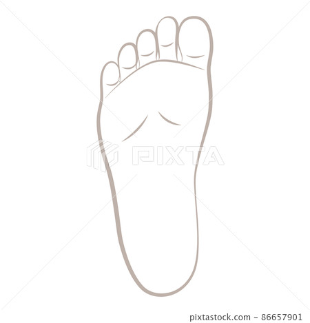 女人的右腳底 86657901